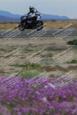 media/Jan-14-2023-SoCal Trackdays (Sat) [[497694156f]]/Turn 14 Exit Bloomig (145pm)/